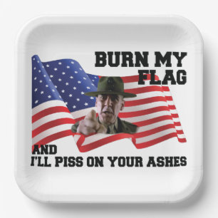 Don't burn my flag paper plate