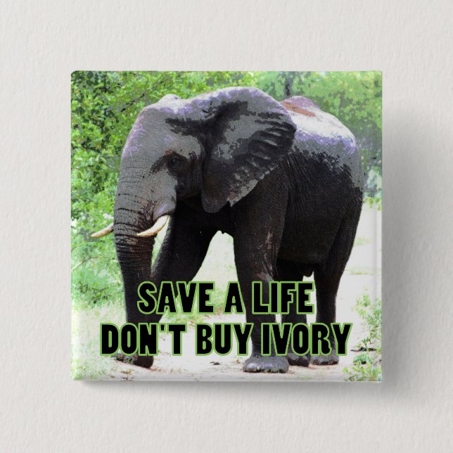 Don't Buy Ivory, Save an Elephant's Life 2 Inch Square Button (Front)
