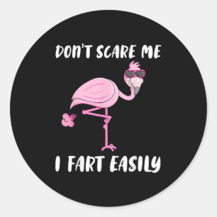 Don't E Me I Fart Easily Funny Flamingo Lover Classic Round Sticker