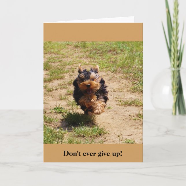 Don't ever give up! greeting card (Front)