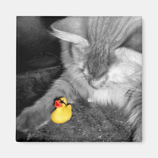 'Don't Feed the Cat' Rubber Duck Magnet (Front)