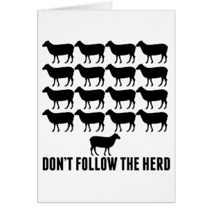 Don't Follow the Herd of Sheep - Be Yourself