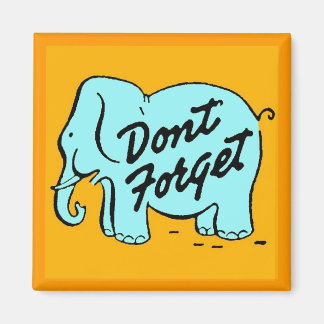 Don't Forget Magnet