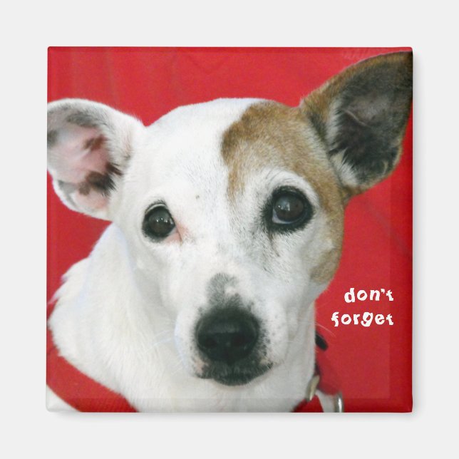 don't forget magnet (Front)