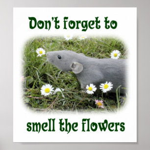 Don't forget to smell the flowers poster