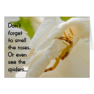 Don't forget to smell the roses