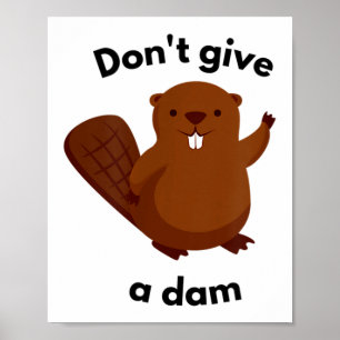 Don't Give A Dam Poster