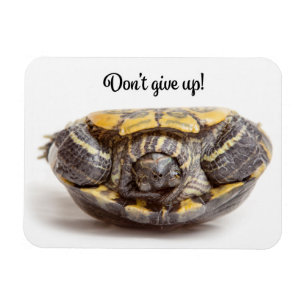 Don't Give Up Upside Down Turtle Encouragement Magnet