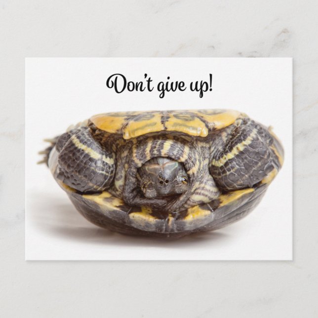 Don't Give Up Upside Down Turtle Encouragement Postcard (Front)