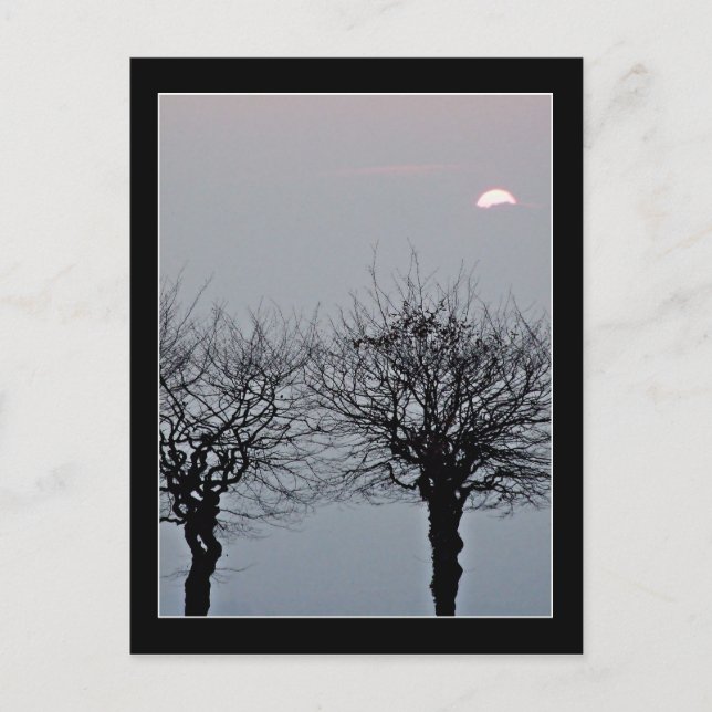 Don't Go Postcard (Front)