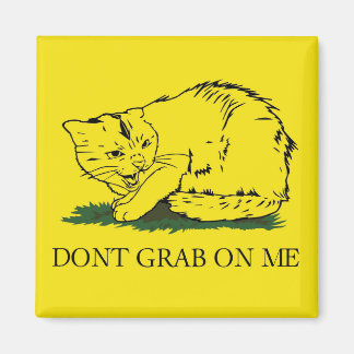 Dont Grab on Me Magnet