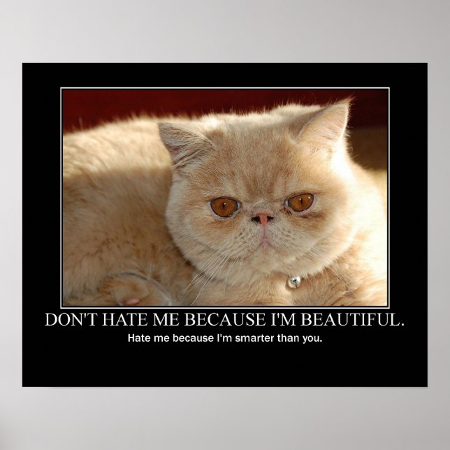 Don't Hate Me...Cat Artwork Funny Poster (Front)