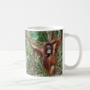 Don't Hate Me for Being Beautiful Funny Orangutan Coffee Mug