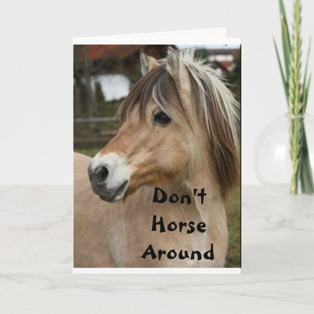 DON'T HORSE AROUND & GET WELL SOON CARD (Front)