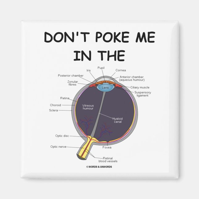Dont Ke Me In The Eye Eye Anatomy Attitude  Magnet (Front)