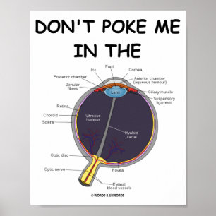 Dont Ke Me In The Eye Eye Anatomy Attitude Poster