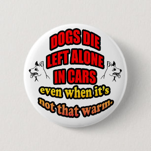 DONT LEAVE YOUR PETS ALONE IN A CAR 2 INCH ROUND BUTTON