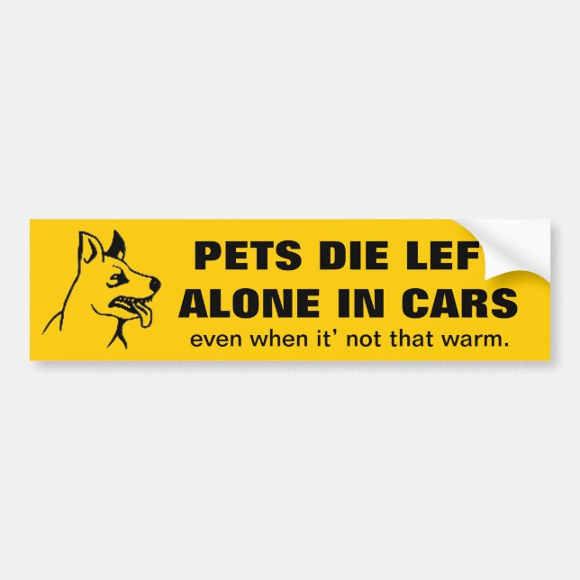 DONT LEAVE YOUR PETS ALONE IN A CAR BUMPER STICKER (Front)