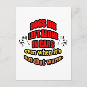 DONT LEAVE YOUR PETS ALONE IN A CAR POSTCARD