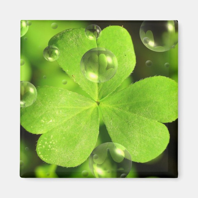 Don't Let Your Luck Wash Away Magnet (Front)