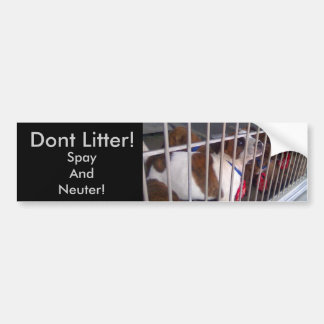 Dont Litter Bumper Sticker
