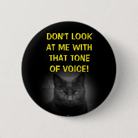 Don't Look at Me Black Cat Meme