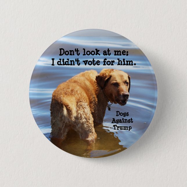 Don't look at me: I didn't vote for him 2 Inch Round Button (Front)