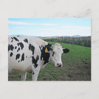 Don't Look Back Postcard