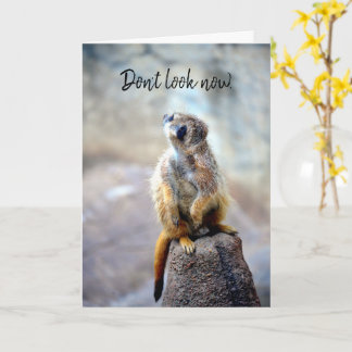 Don't look now - Birthday Card