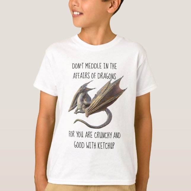 Don't Meddle in the Affairs of Dragons T-Shirt (Front)