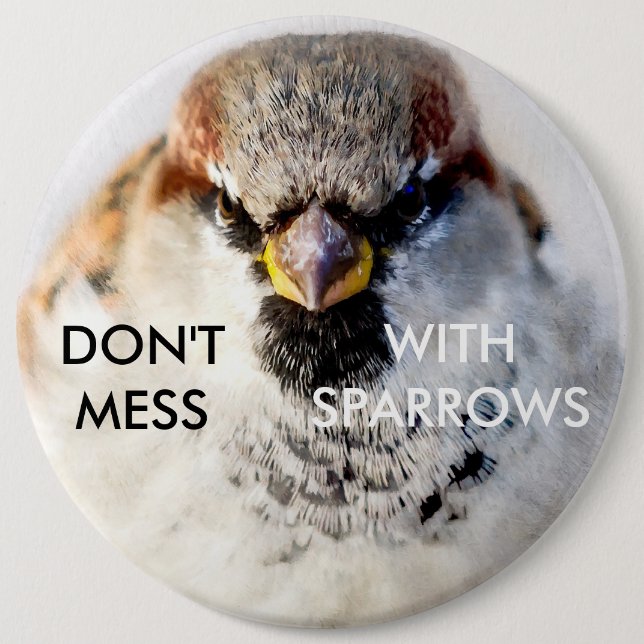 Don't Mess With Sparrows 6 Inch Round Button (Front)