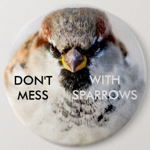 Don't Mess With Sparrows 6 Inch Round Button