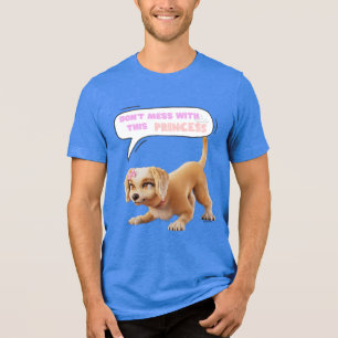 Don't Mess with This Princess Tri-Blend Shirt
