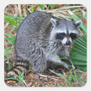 Don't Mind Me, Just Passing Through Square Sticker