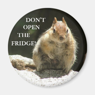 Don't open the fridge! magnet