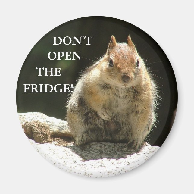 Don't open the fridge! magnet (Front)