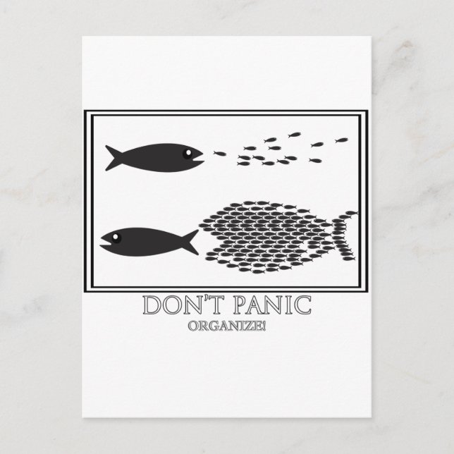 Dont' Panic be Organize! Postcard (Front)