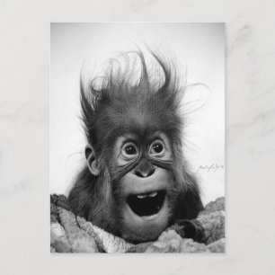 DON'T PANIC! Postcard