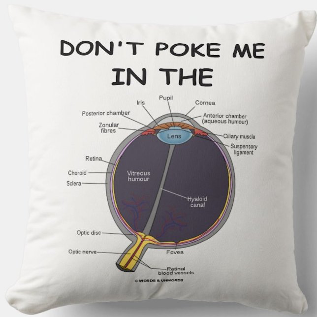 Don't Poke Me In The (Eye Anatomy) Humour Throw Pillow (Anatomical attitude featuring human eye anatomy w/ the saying "Don't Poke Me In The [Eye]")