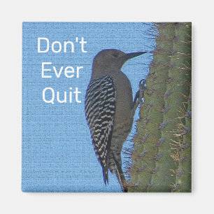 Don't Quit Encouraging Woodpecker Photo Motivation Magnet