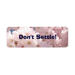 Don't Settle! stickers labels Business Innovation