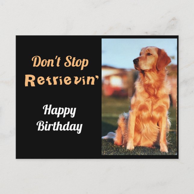 Don't Stop Retrievin' Golden Retriever Birthday Postcard (Front)