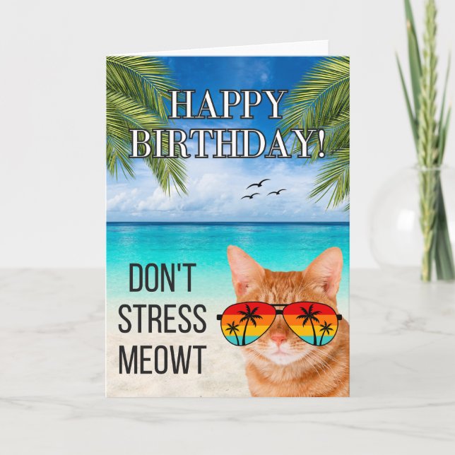 Dont Stress Meowt Funny Tabby Cat Happy Birthday Card (Front)