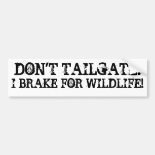"Don't Tailgate, I Break For Wilde" Bumper Sticker
