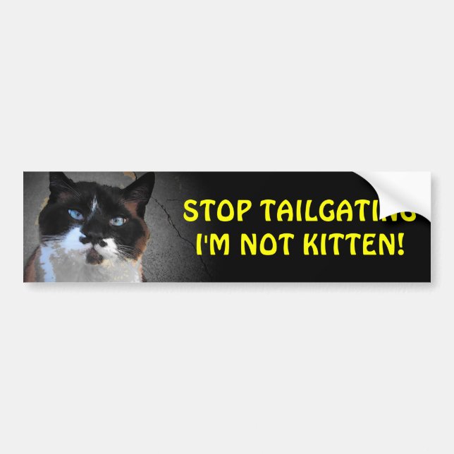 Don't Tailgate I'm Not Kitten Bumper Sticker (Front)