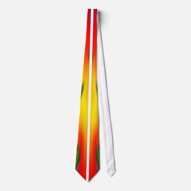 "Don't tell anyone who did it" Men's Designer Tie (Front)