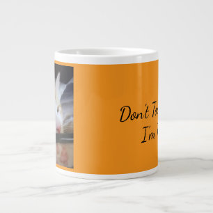 "Don't Touch Me, I'm Feral" Grumpy Cat  Large Coffee Mug