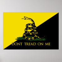 Dont Tread On Me Anarchist Flag
