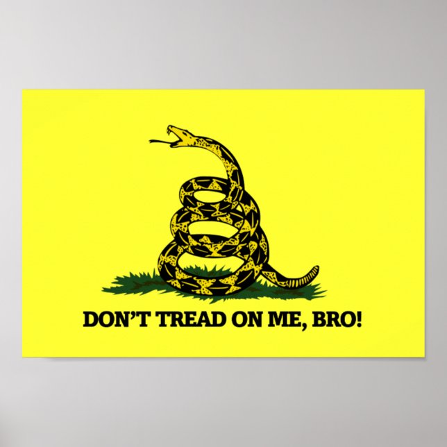 Don't Tread on me Bro Poster (Front)