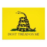 Don't Tread on Me Gadsden flag